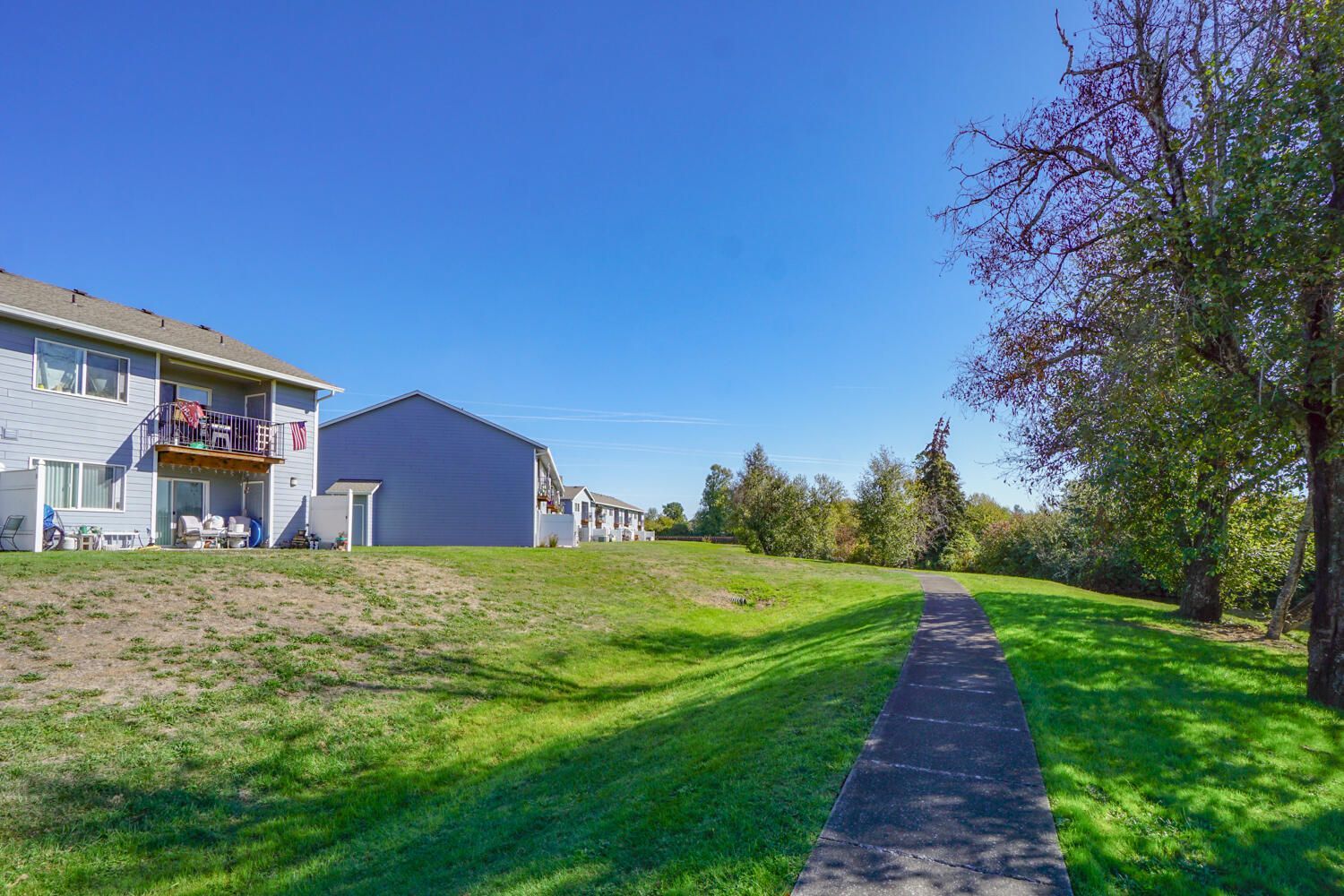 There is a path going through the grass between two buildings.