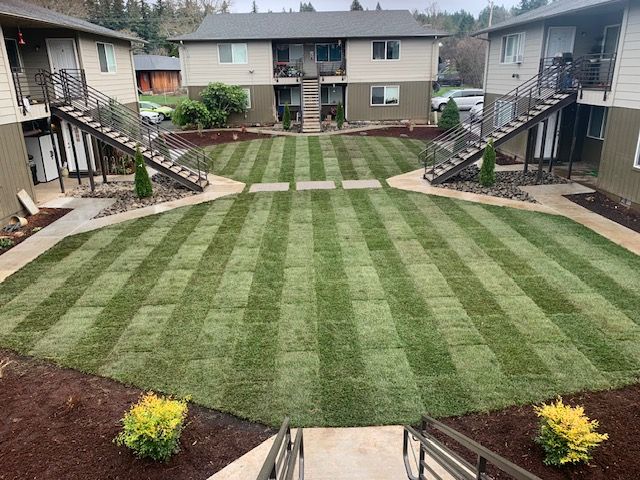A large lawn in front of a building with stairs leading up to it.