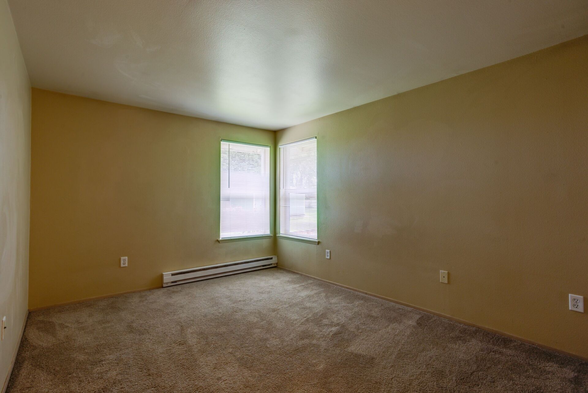 An empty room with a carpeted floor and two windows.