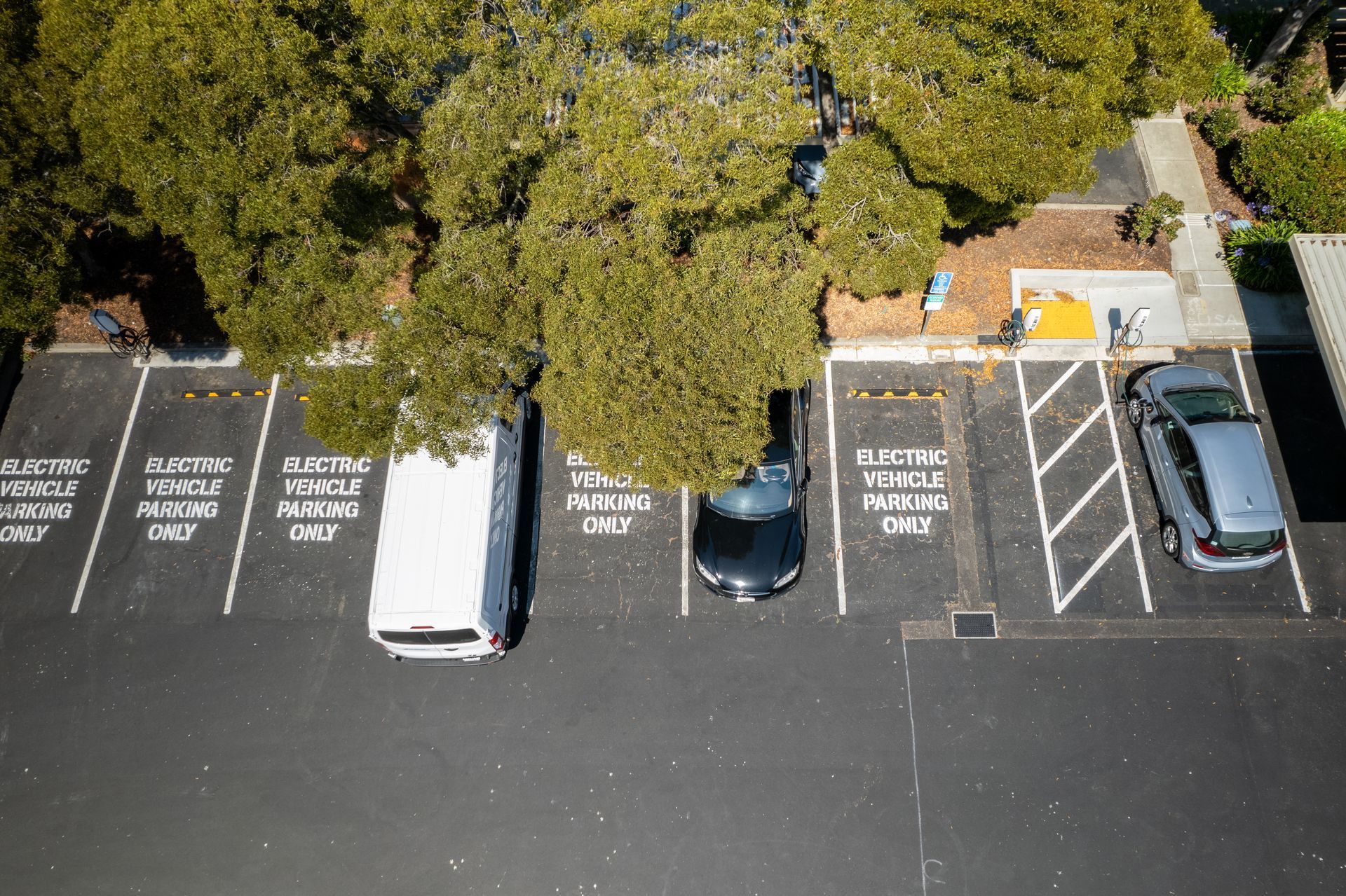 Aerial view of a parking lot with several parked cars and marked spaces beside dense trees.