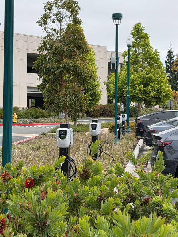 Electric car charging stations in a landscaped parking lot beside an office building.
