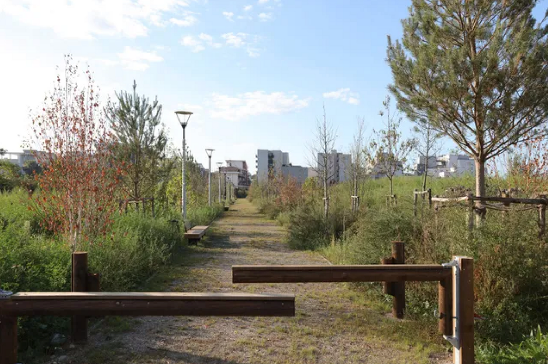 Un chemin de gravier traverse un parc parsemé d’arbres, de lampadaires et de barrières en bois, sous un ciel bleu.