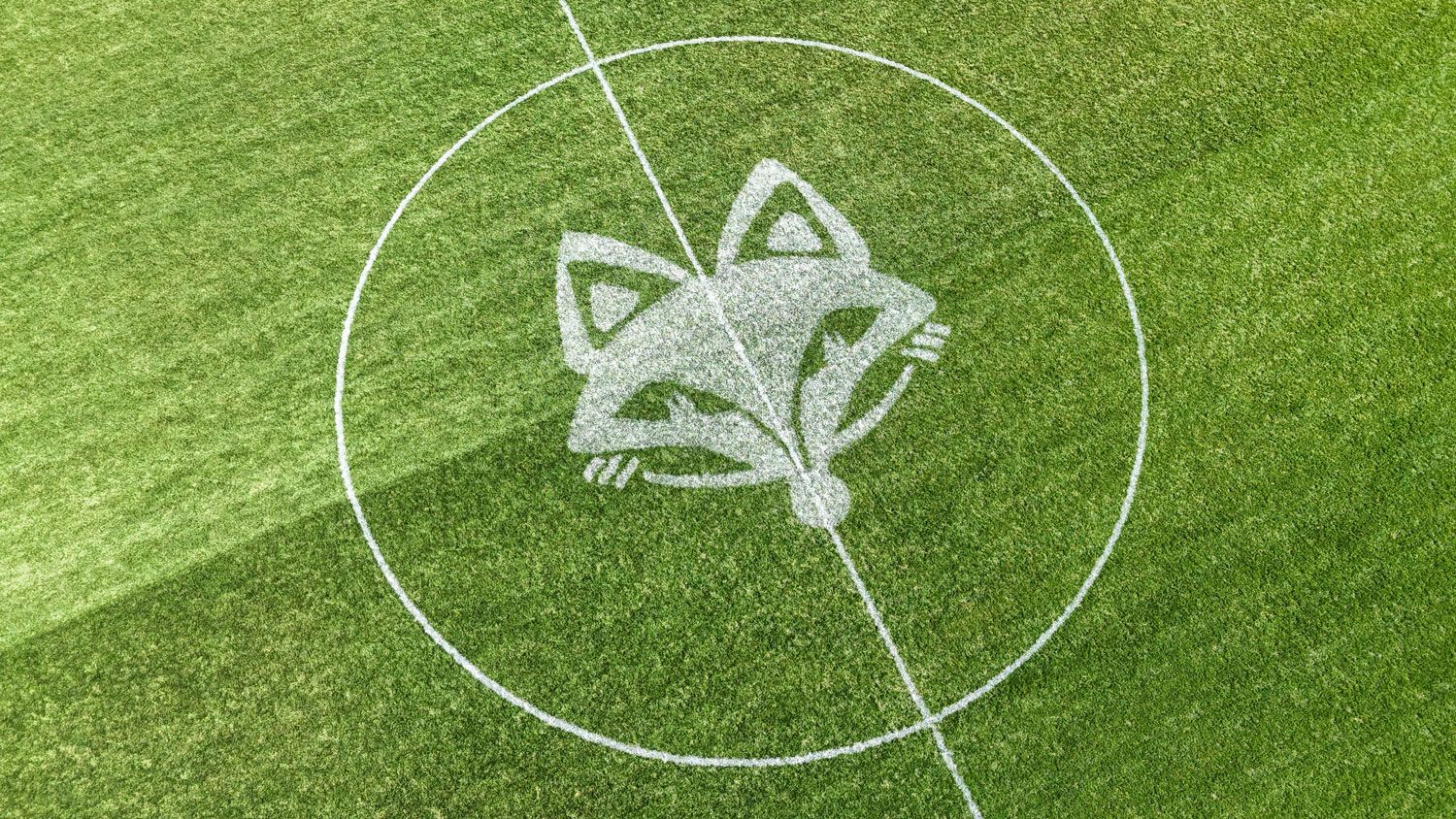 White foxhead painted on the soccer field - drone view
