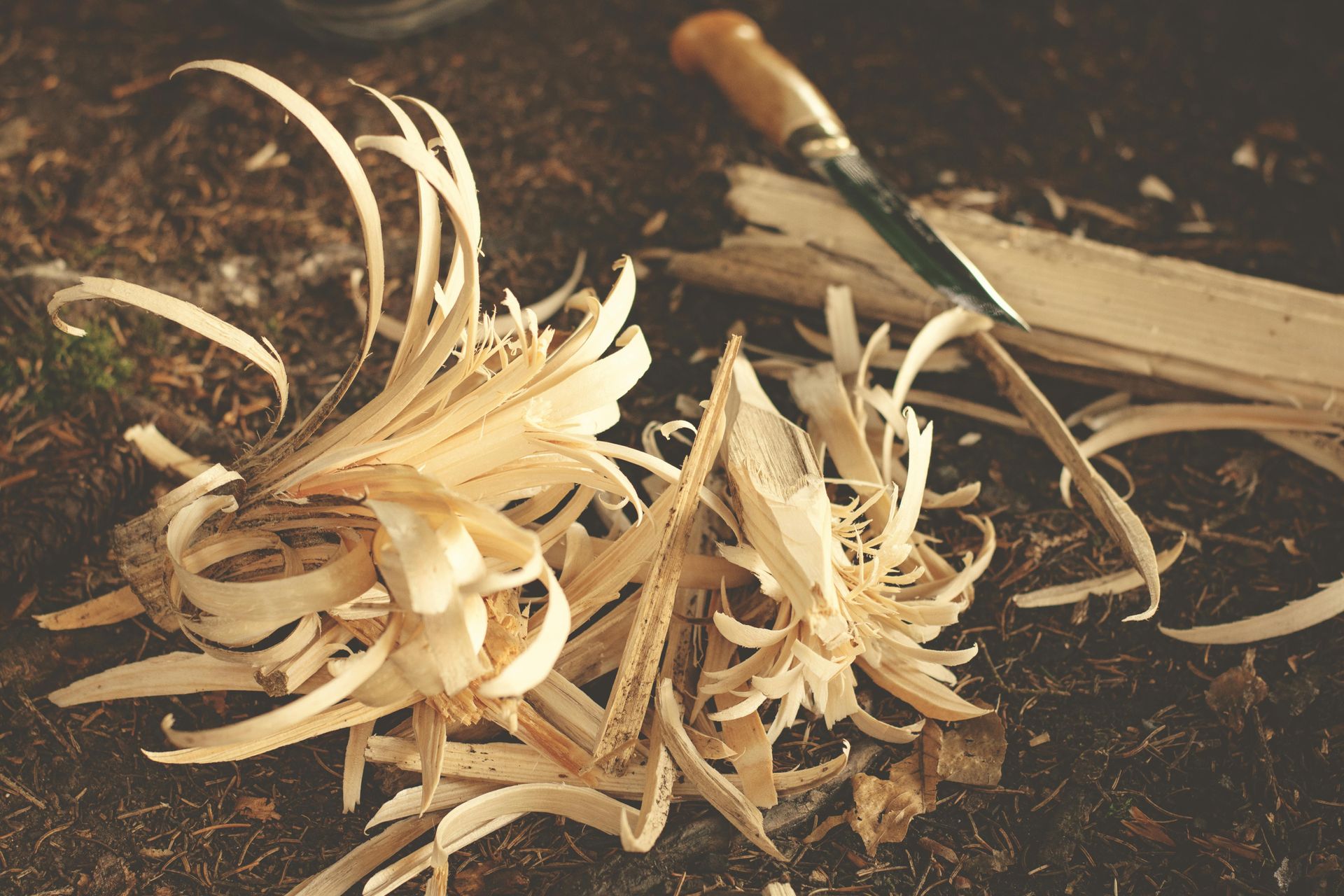 Wood shavings, wood, and a carving tool