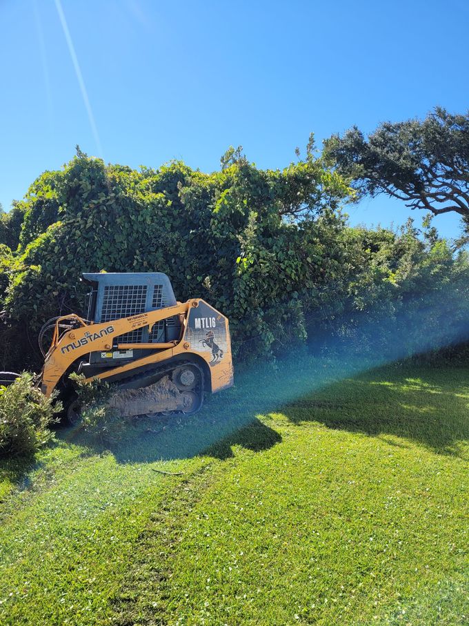 Yellow skid-steer clearing green vegetation on a sunny hillside under a blue sky