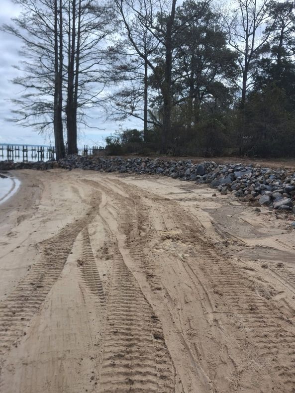 Sandy path curving beside a rocky shoreline with tall bare trees and calm water
