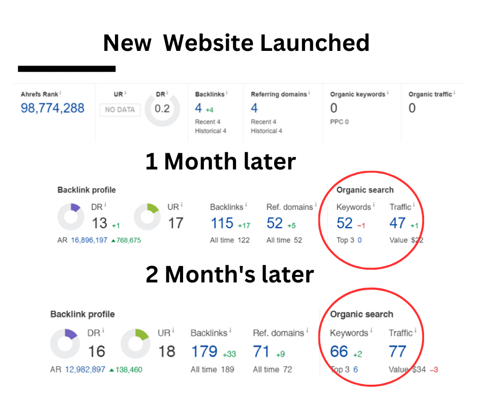 SEO Case Study, Peterson SEO, restoration marketing