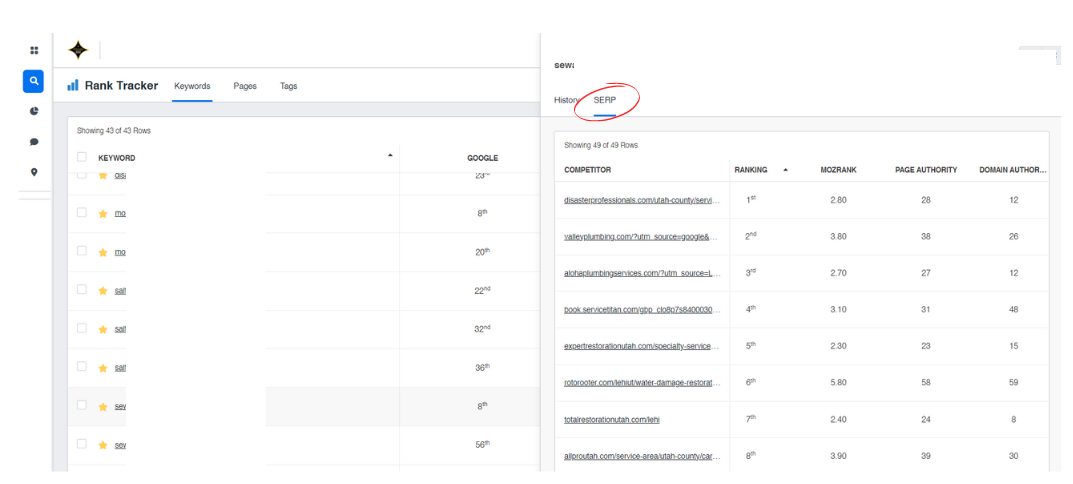 Peterson SEO Client Dashboard