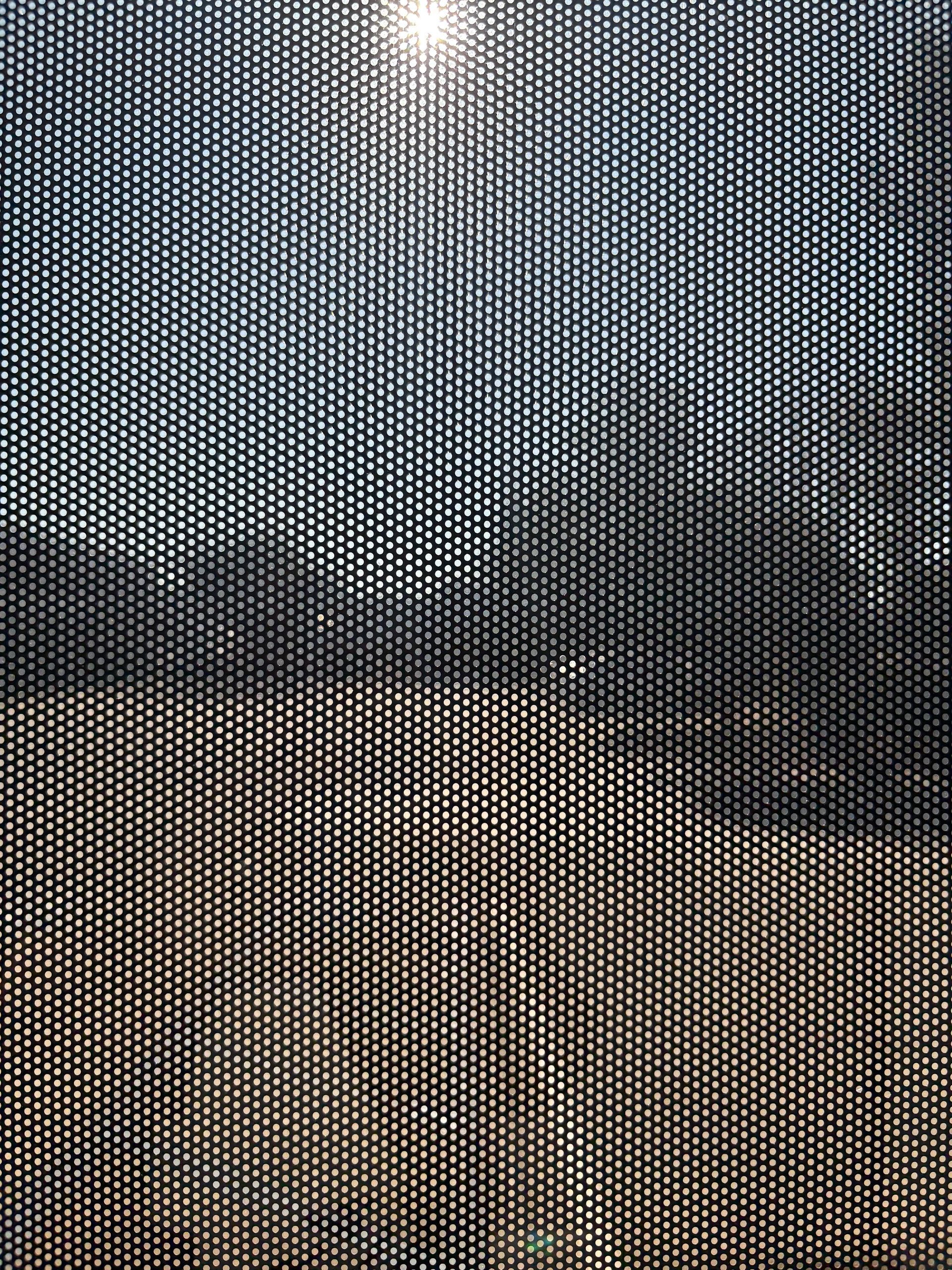 View through a dark mesh screen of a cloudy yard with a bright sun and bare trees
