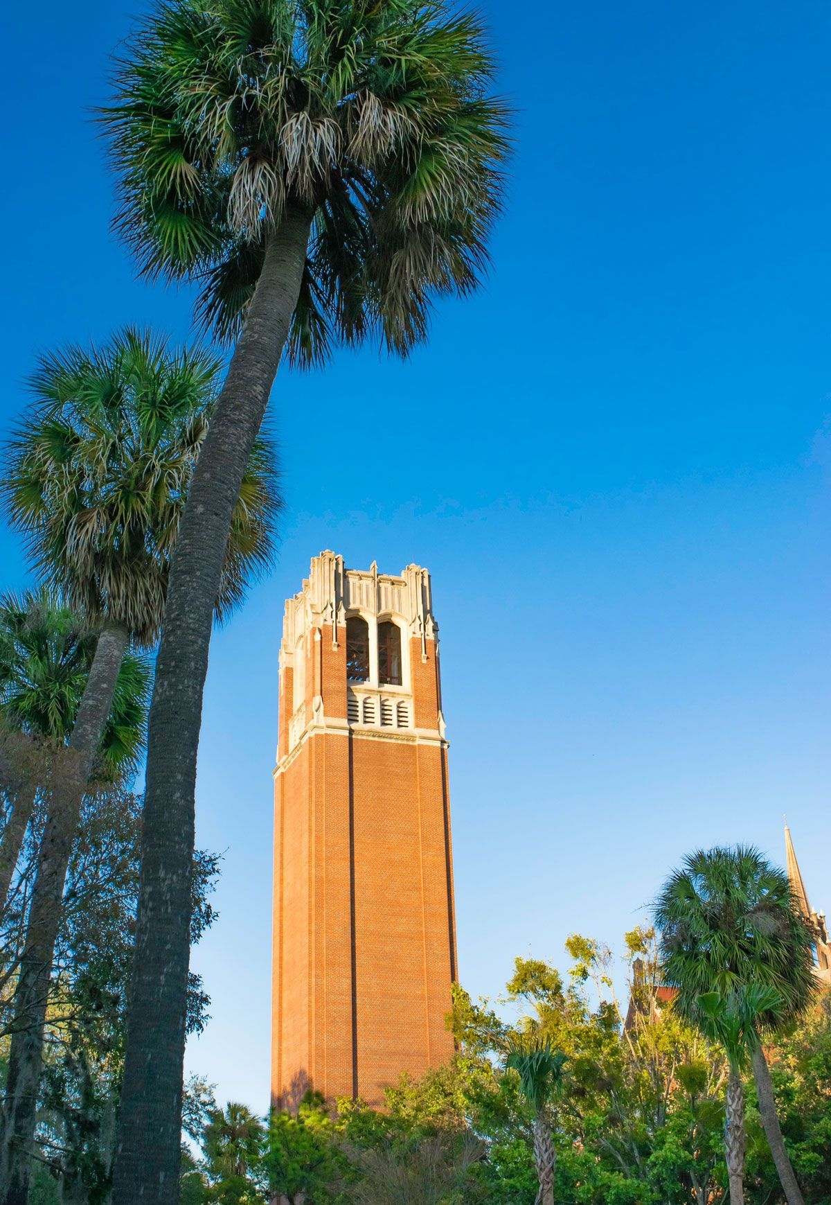 A brick tower surrounded by palm trees and a blue sky