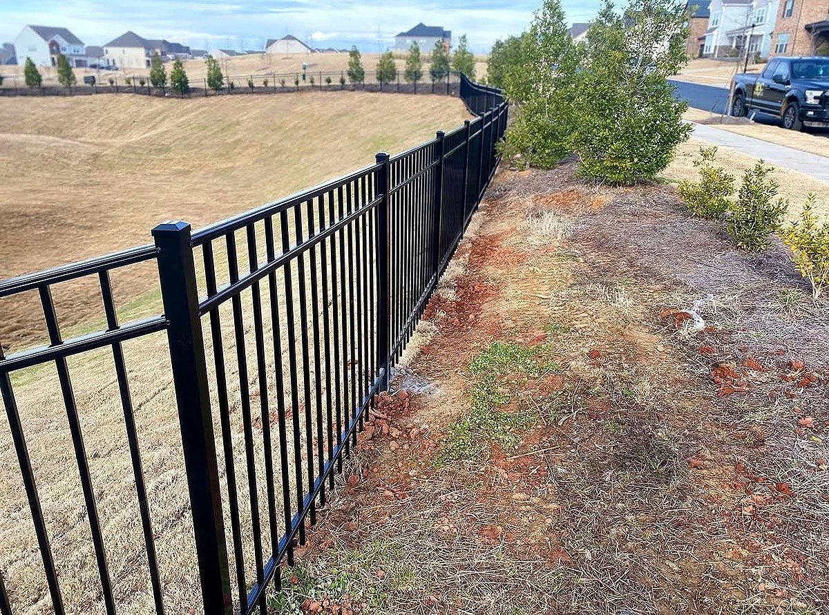 Black metal fence beside a dry grassy lot along a residential street