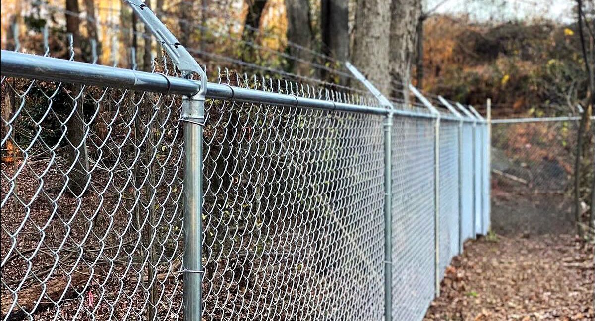 Chain-link fence along a wooded path with fallen leaves in autumn