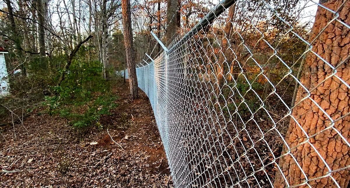 Chain-link fence along a wooded hillside with fallen leaves and trees in autumn.