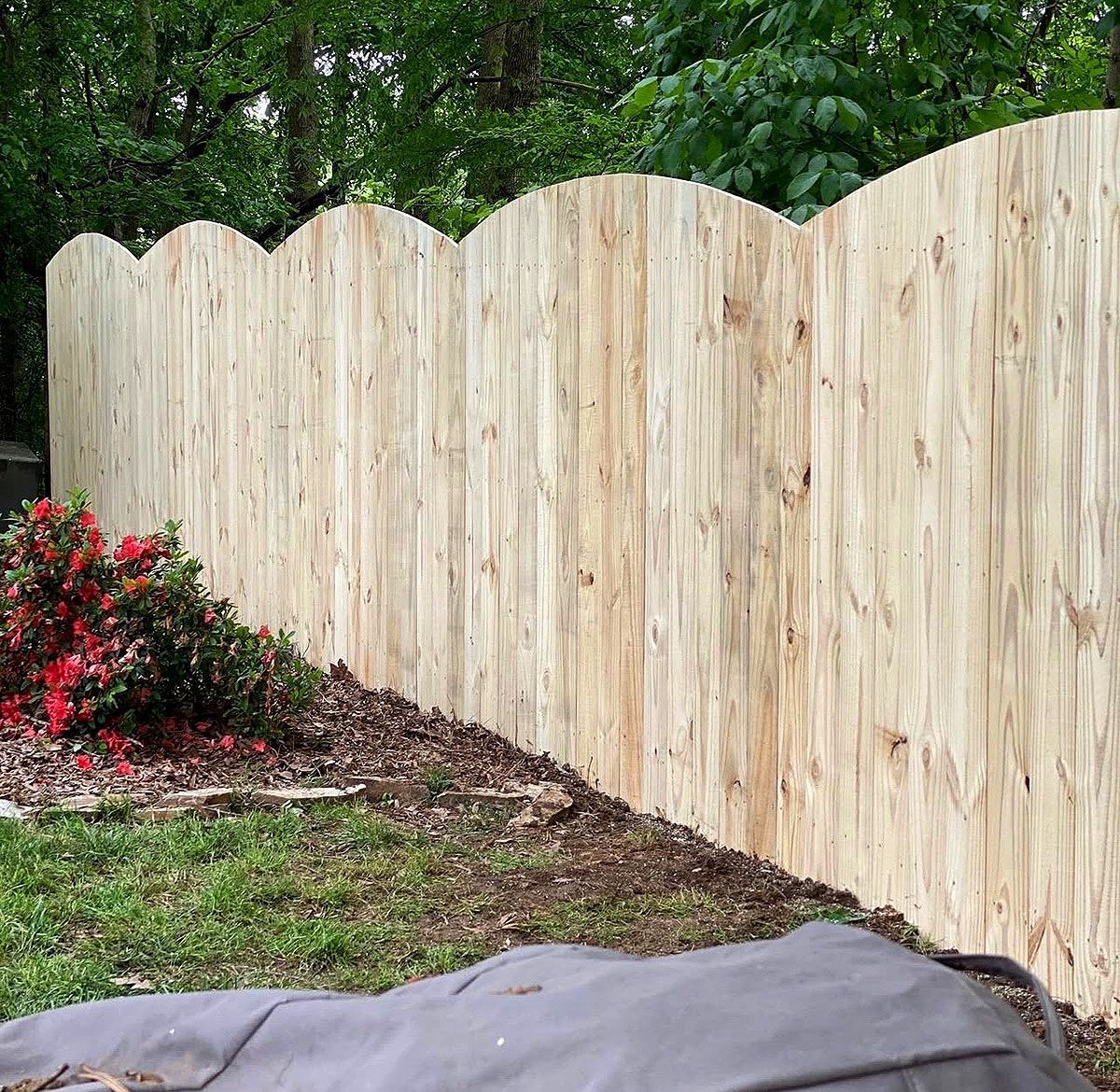 Wooden privacy fence with scalloped top beside red shrubs and a grassy yard.