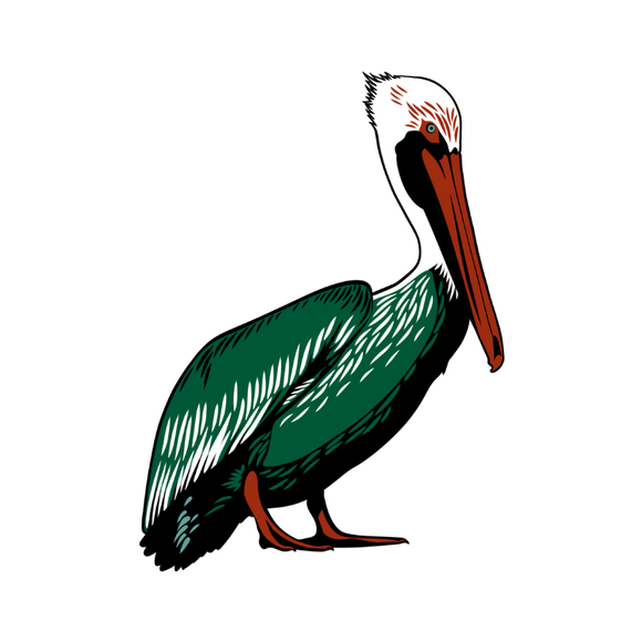 Pelican graphic