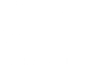 Delta Current Strategies - white logotype