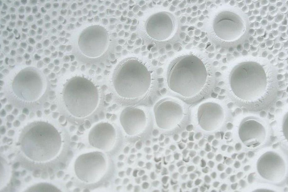 emulsiolipolisi