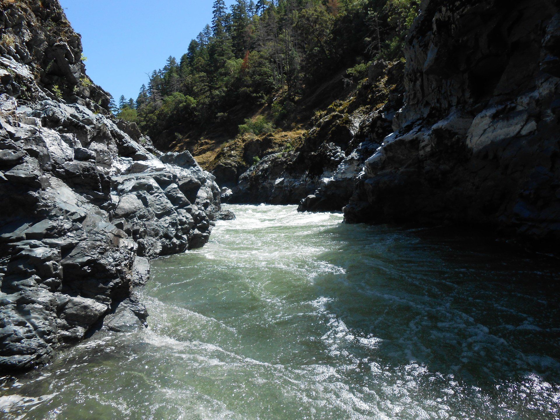Rogue River, unrivaled in its beauty, is one of the most famous rafting destinations in the United States. 