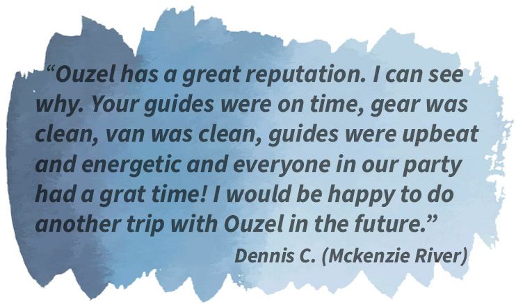 This is an image of a quote from one of our day trip guests, Dennis C.