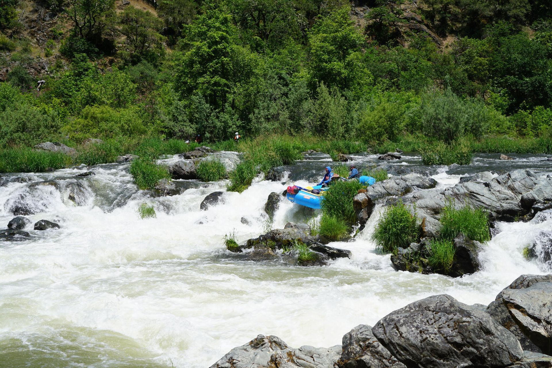 Rogue River Middle Chute.