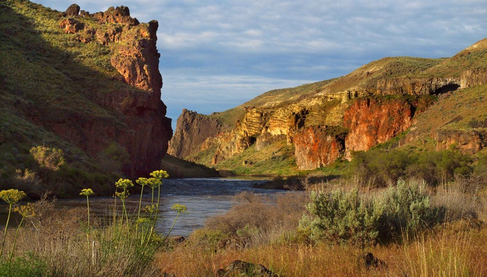 The river runs through the Owyhee Canyon. which is surrounded by tall cliffs. 