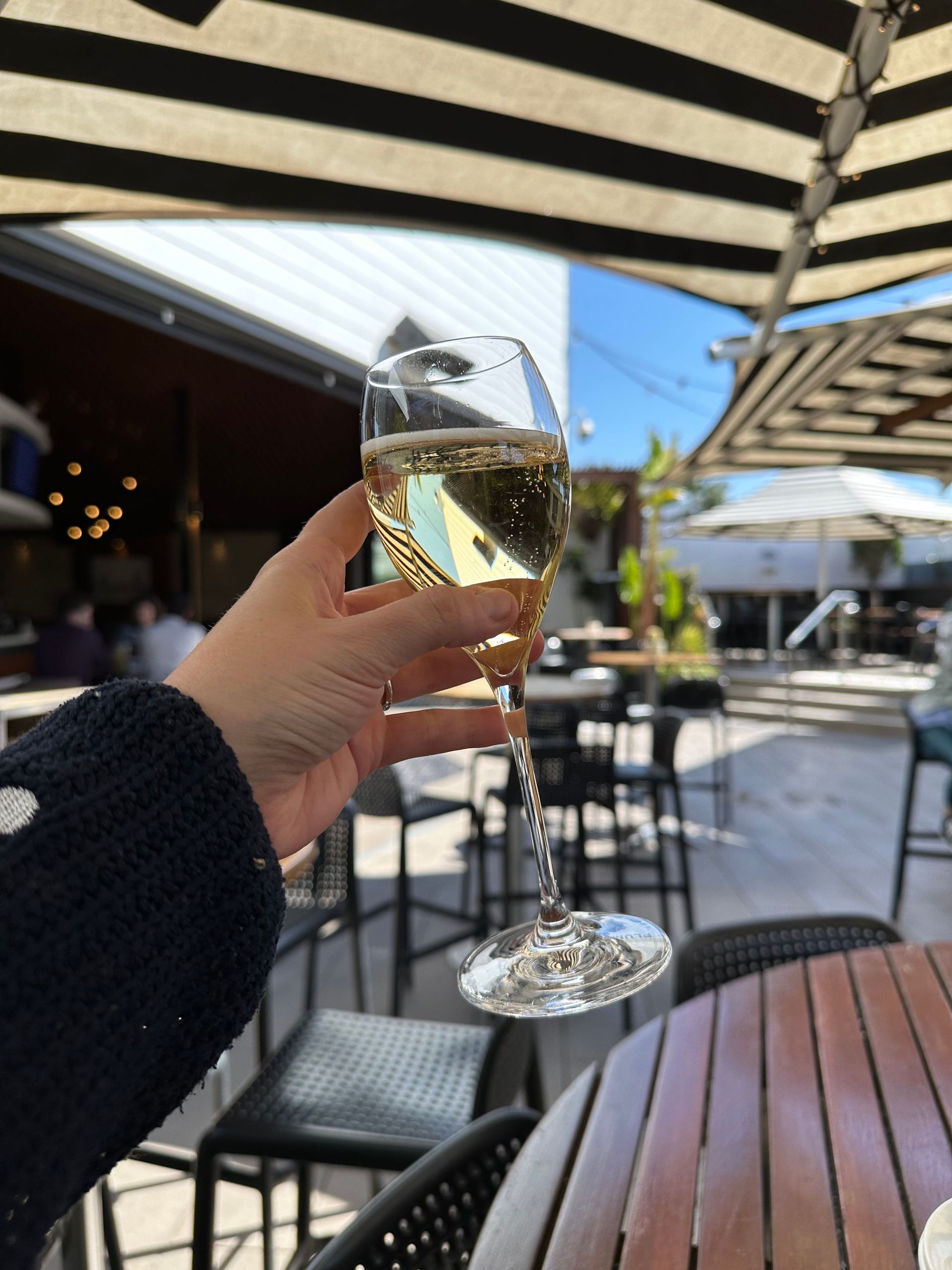 A person is holding a glass of wine in their hand