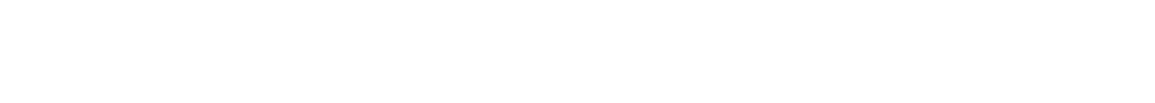 Minimal black horizontal line on a white background. | Orem's Garage