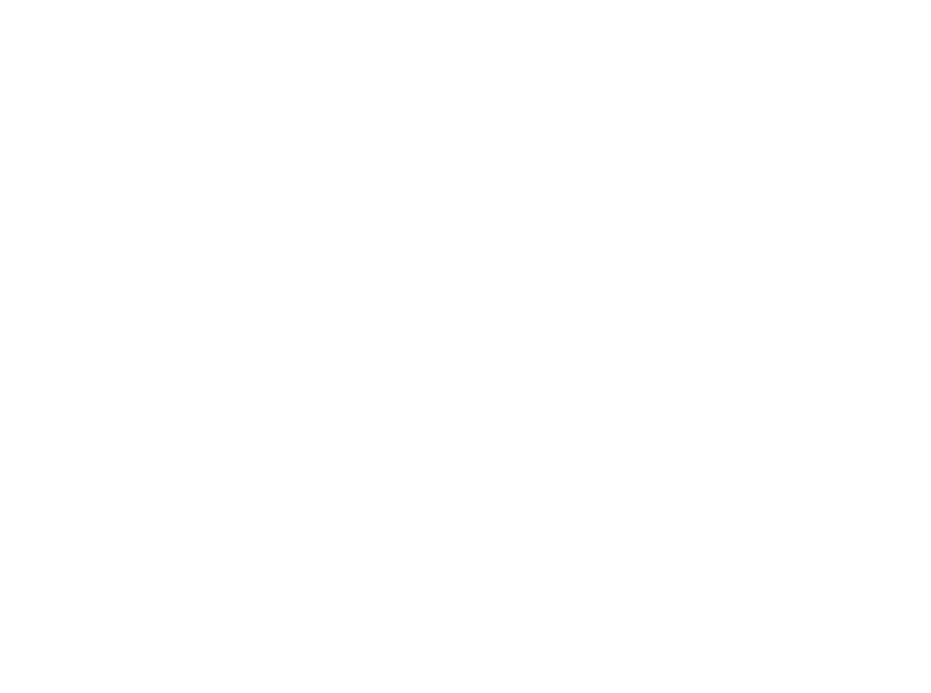 Blank white screen with a faint light gray border | Orem's Garage