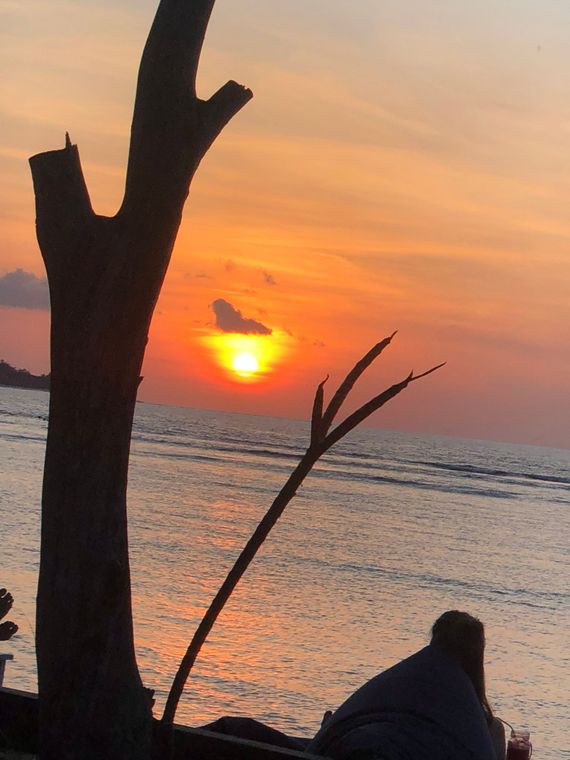 Zonsondergang boven de oceaan; silhouetten van boomtakken; een persoon die zit en het tafereel bekijkt.