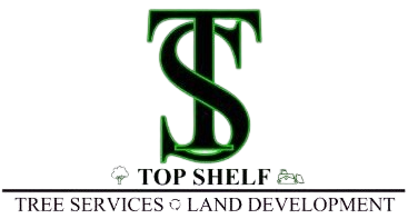 Logo for Top Shelf Tree Services & Land Development with green TS monogram and black text