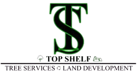 Logo for Top Shelf Tree Services & Land Development with green TS monogram and black text