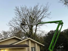 Worker in a green boom lift trimming tree branches above a house roofline