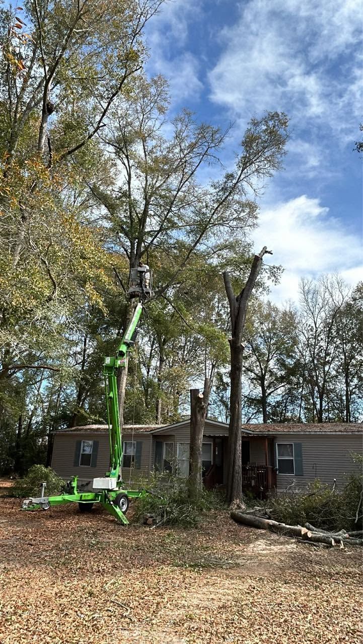 Green tree-lift pruning a tall tree in front of a house under a partly cloudy sky