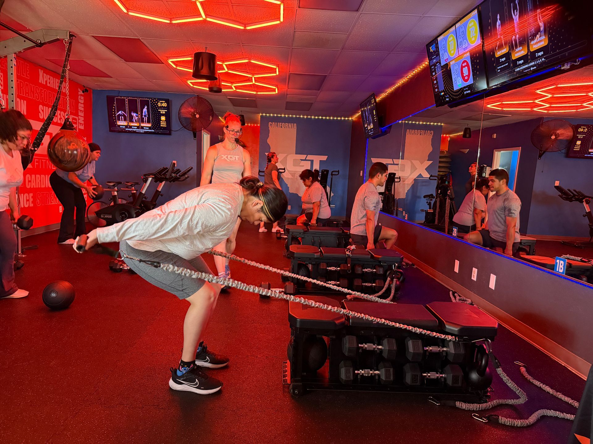 Gym Fitness Program