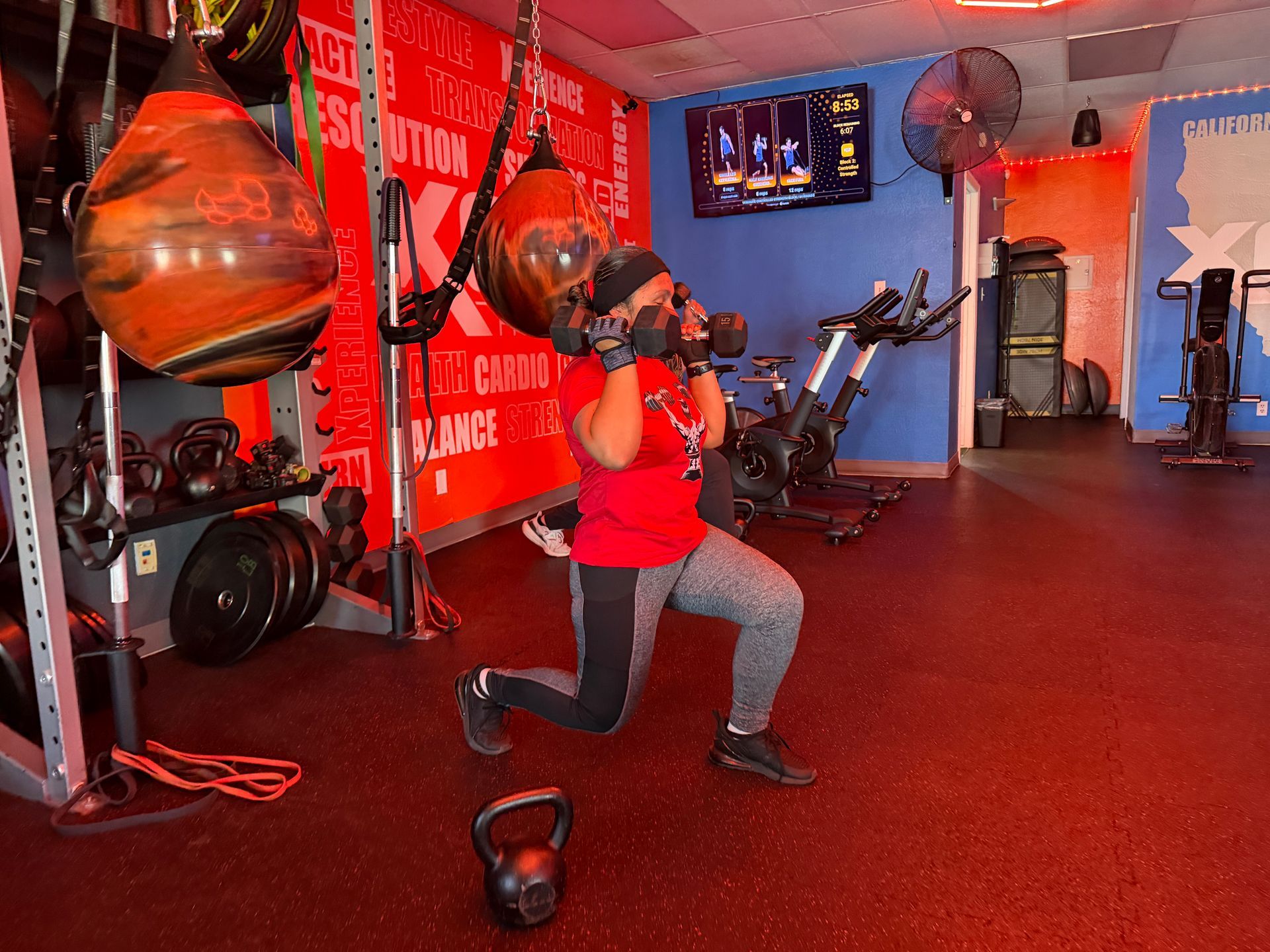 Gym Fitness Program
