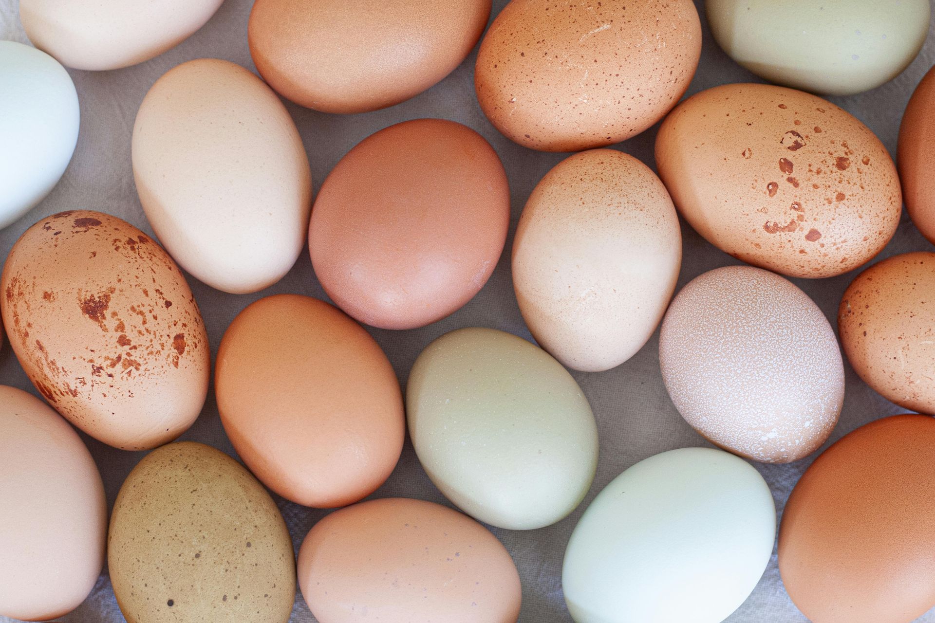 Eggs