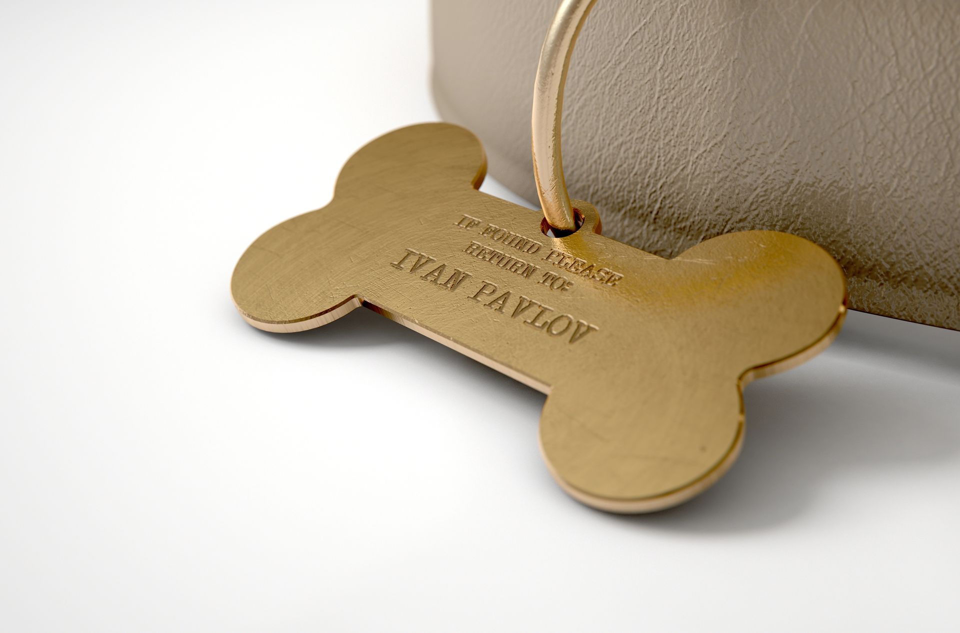 incisione medagliette personalizzate per cani