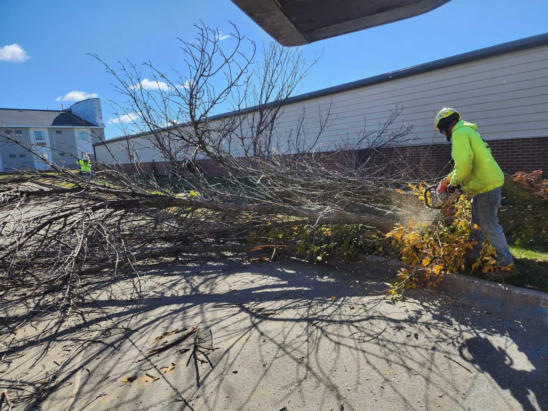 Lawn & Tree Gallery Huxley, IA Pitts Lawn & Tree Service