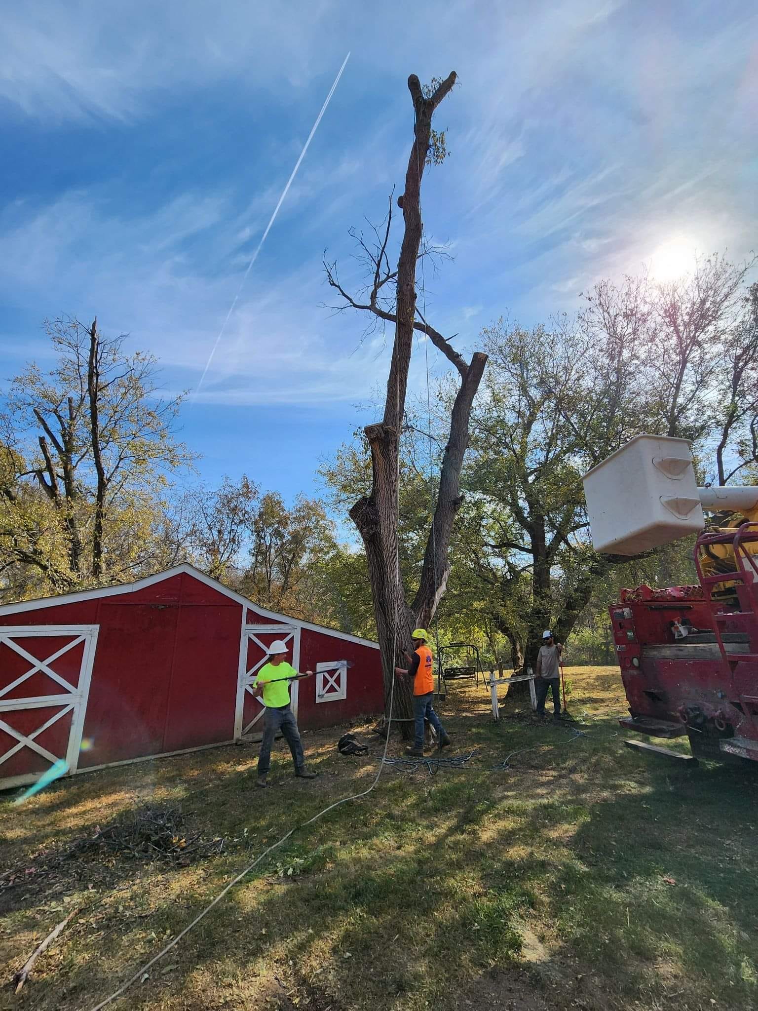 Lawn & Tree Gallery Huxley, IA Pitts Lawn & Tree Service