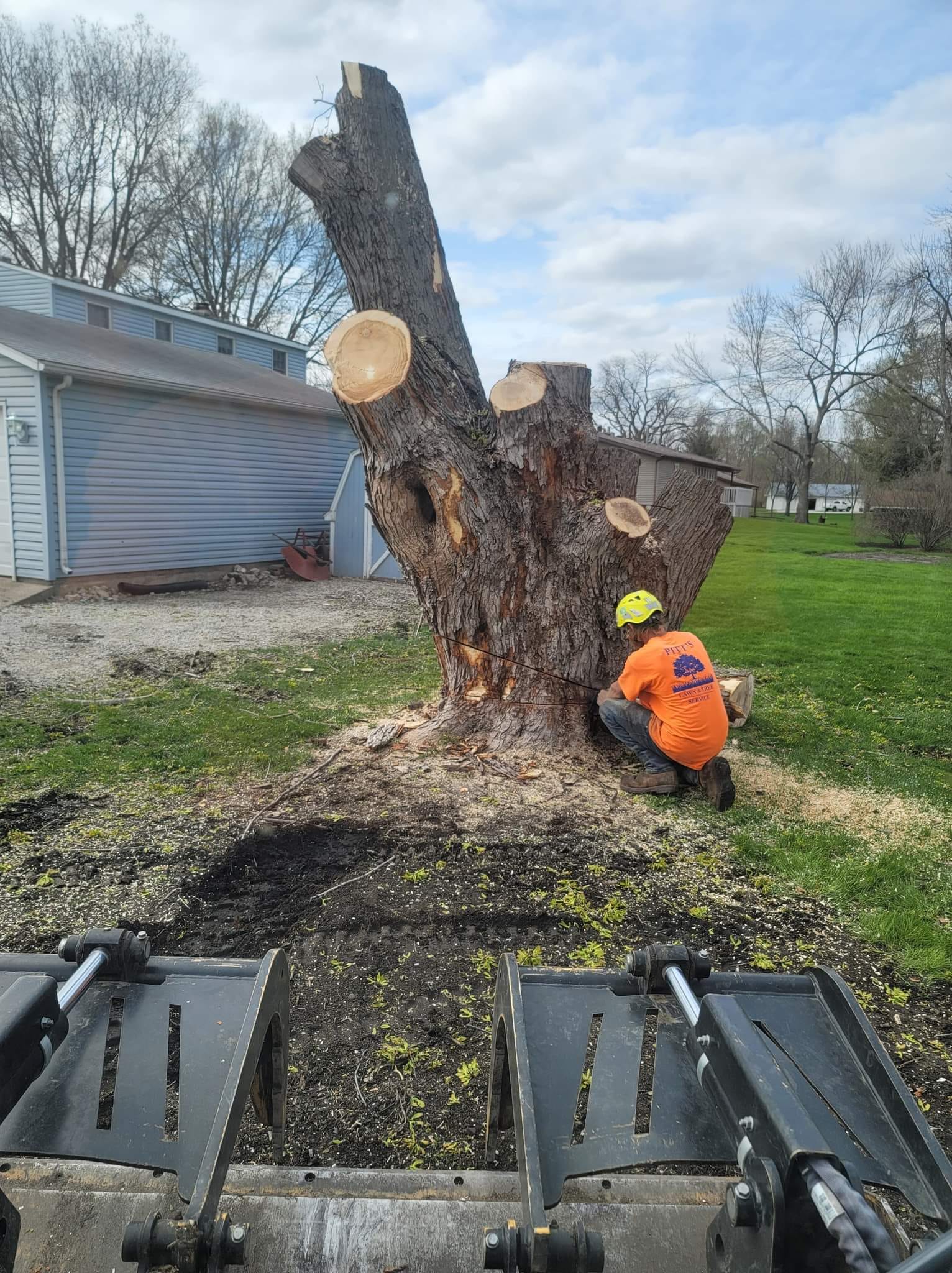Residential Tree Removal – Huxley, IA – Pitts Lawn & Tree