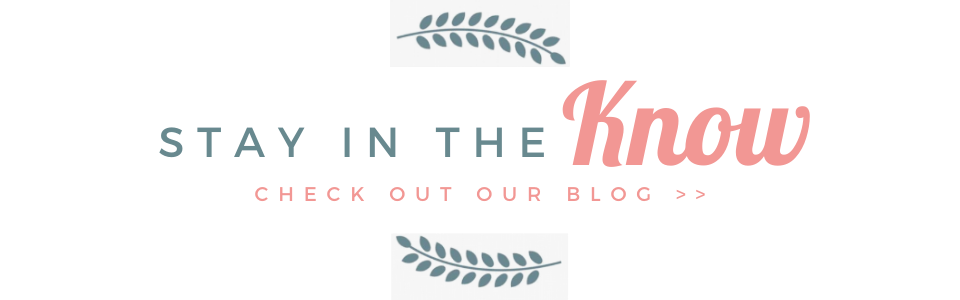 Logo reading “Stay in the Know” with “Check out our blog” underneath, in teal and pink.