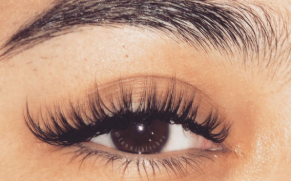 Classic Lashes
