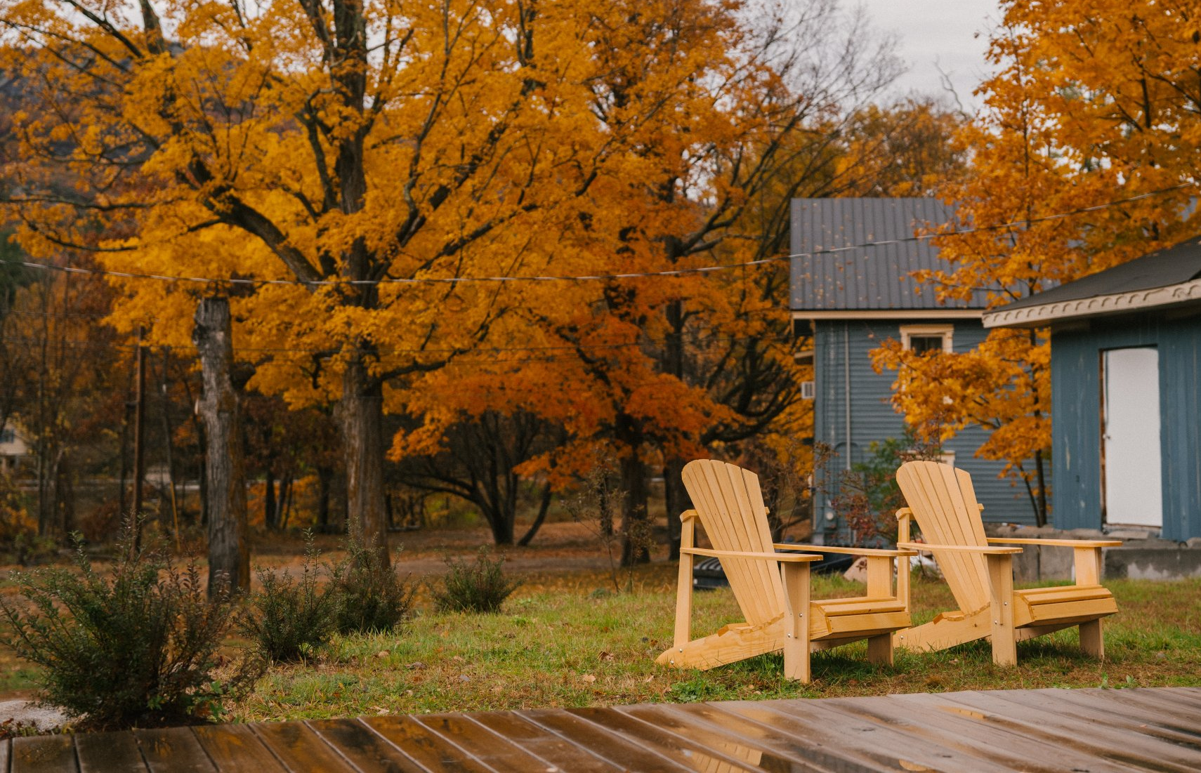 fall-yard-leaves-cleanup
