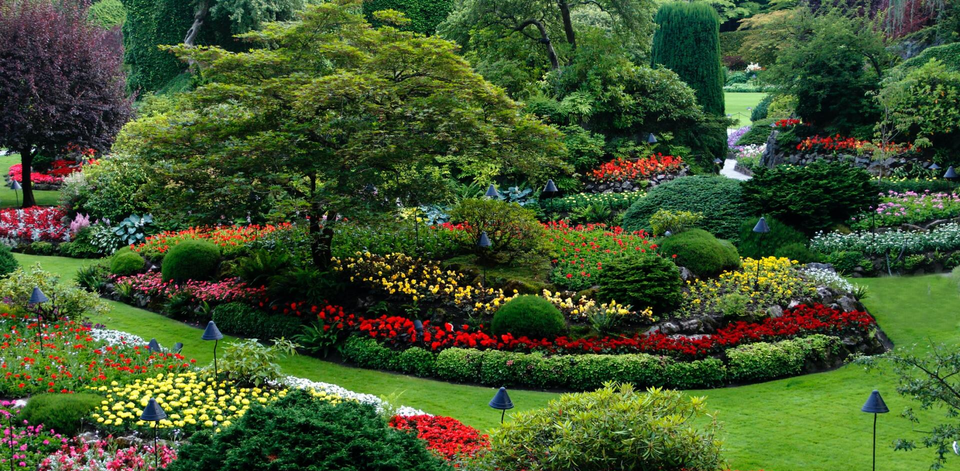 healthy-lawn-grass-cutting-tips