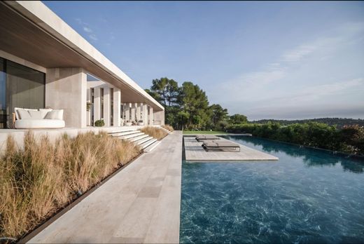 Piscina turchese dalle forme sinuose, con gradini bassi e una vasca idromassaggio rialzata, circondata da alberi