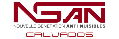 logo ngan