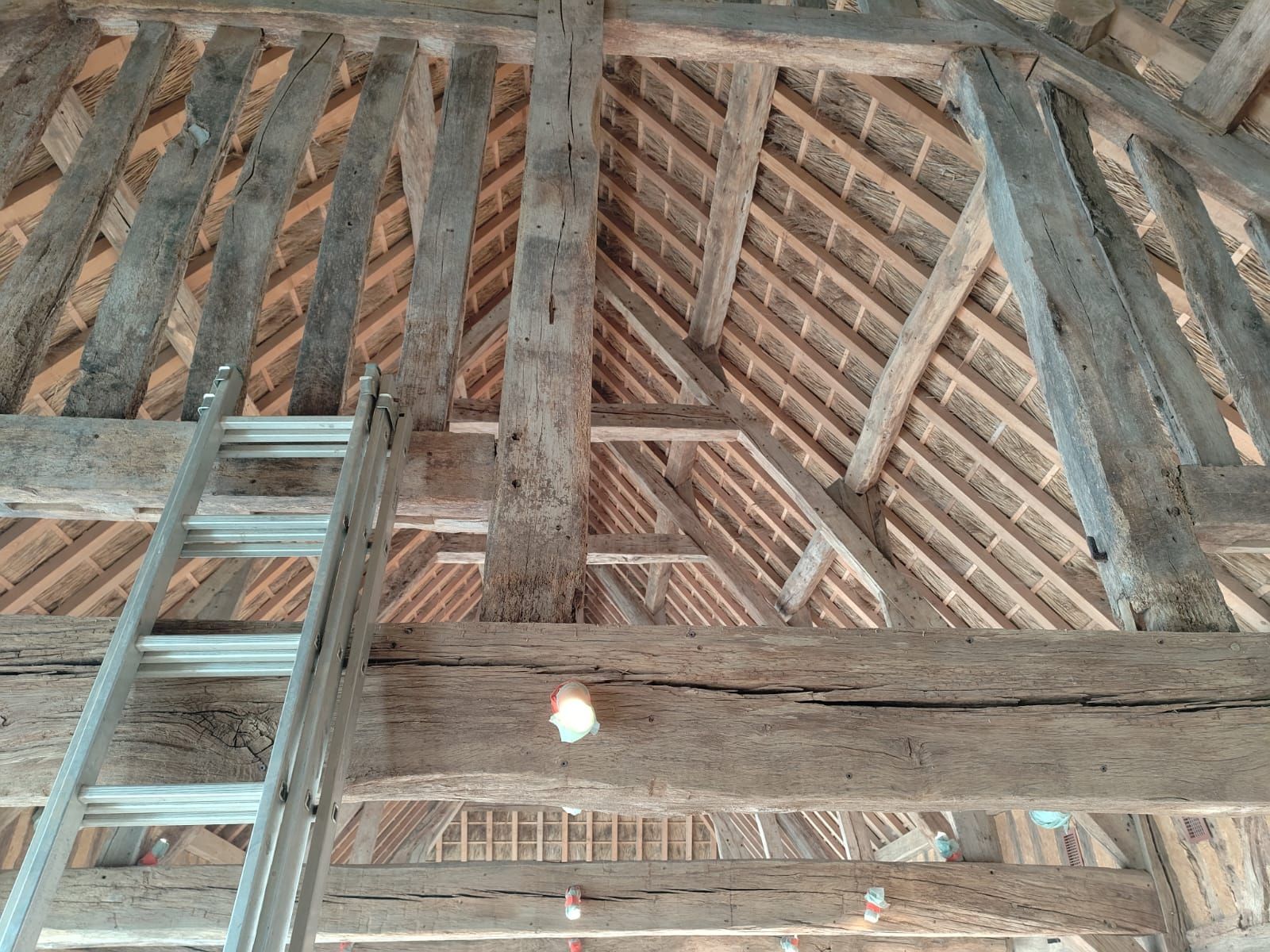Traitement xylophage sur une charpente en bois dans une maison à Caen avant travaux d’isolation