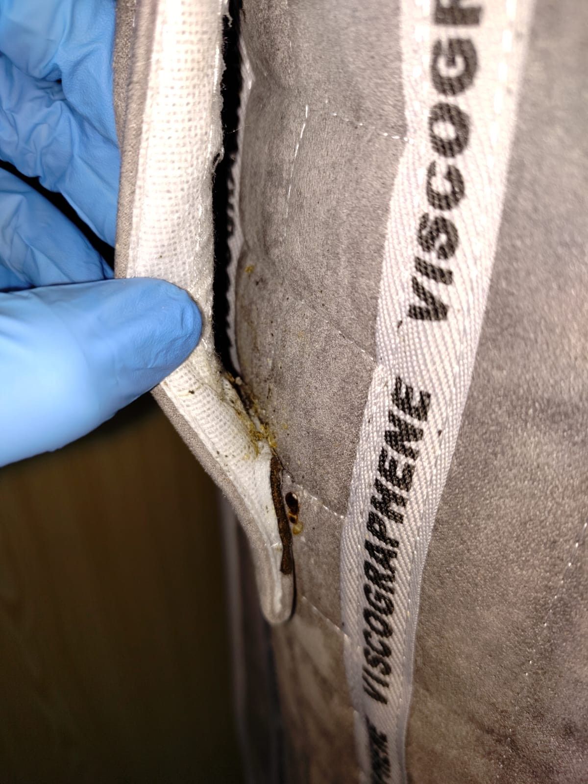 Présence de punaises de lit sur un matelas infesté à Caen