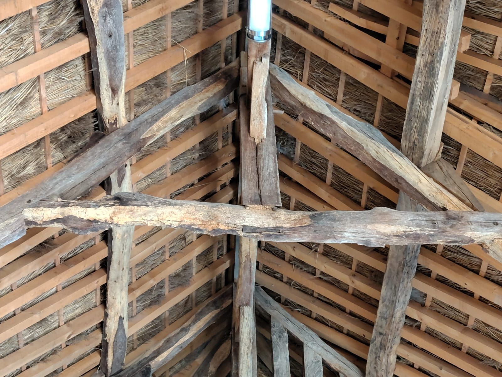 Traitement de charpente en bois affaiblie par des insectes xylophages - NGAN Calvados