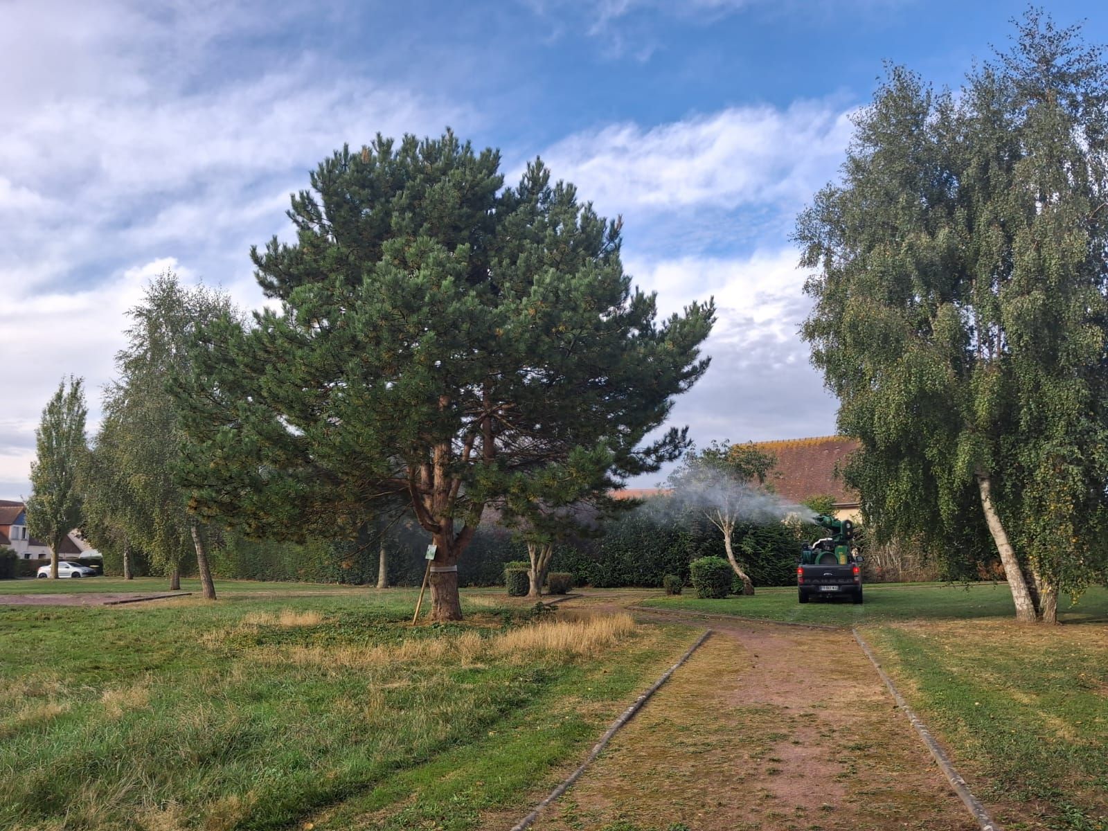 Intervention NGAN Calvados du 24 septembre : notre collègue spécialisé en lutte contre les chenilles processionnaires pulvérise Bacillus thuringiensis avec son pick-up équipé d’une turbine pour protéger les pins.